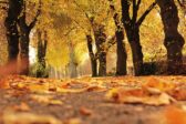 [FUORI PROGRAMMA] Foliage d'autunno tra lago e collina