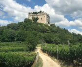 Vigneti e colline dell'est veronese