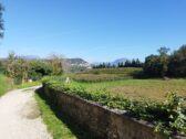 Le colline del Garda Veronese